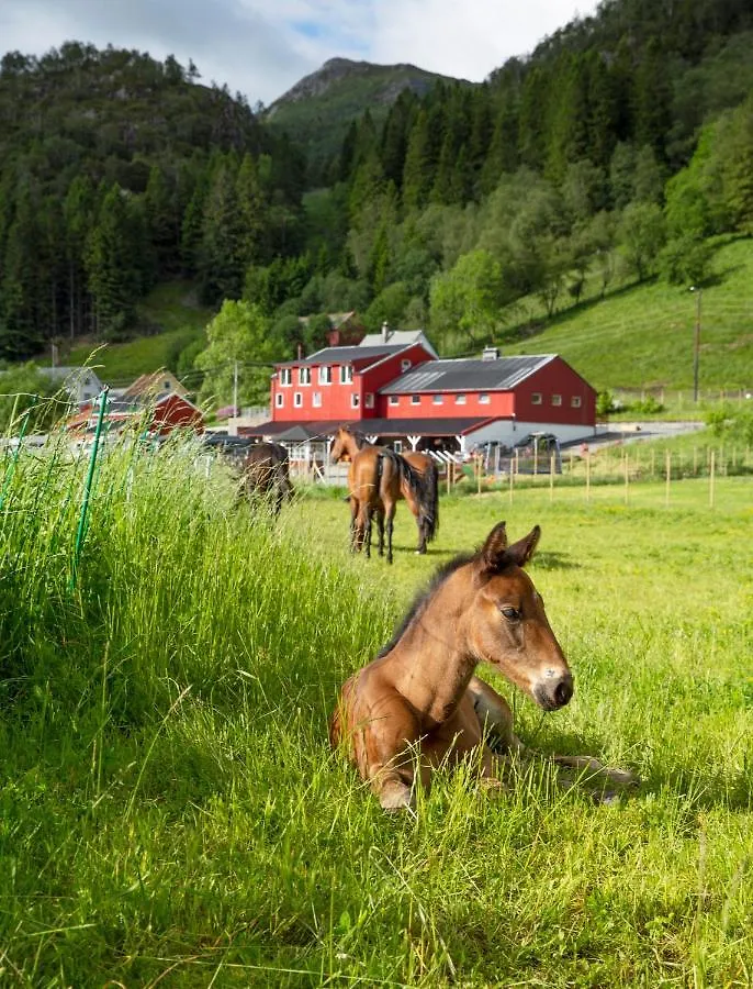 Farm stay Solneset Farm Hotel Bergen