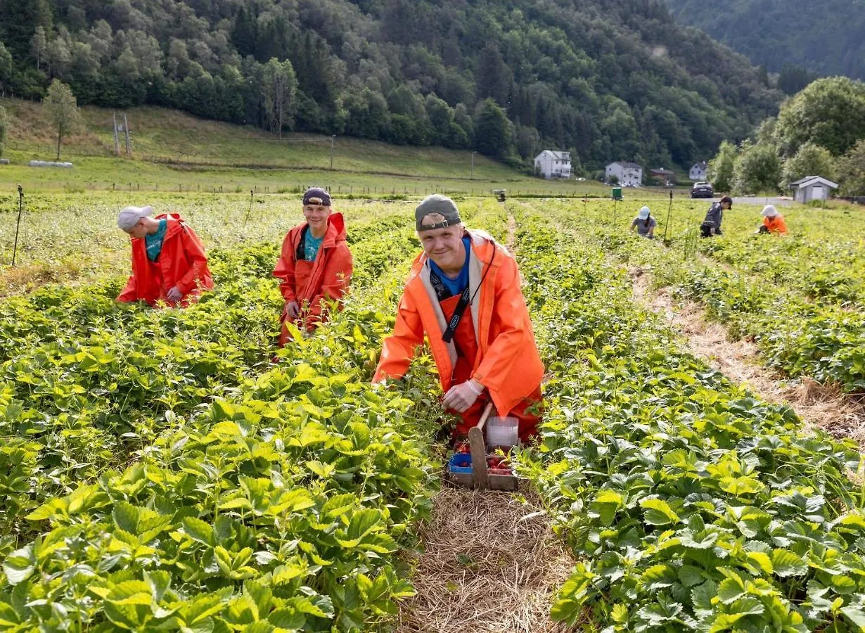 农家乐 Solneset Farm Hotel 卑爾根 挪威