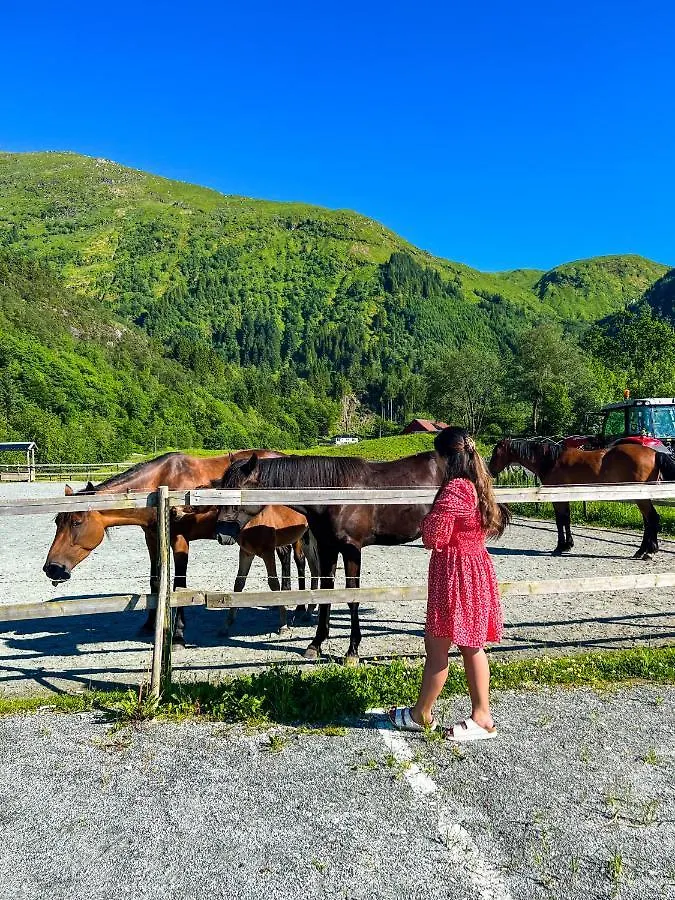 Solneset Farm Hotel 卑爾根 农家乐
